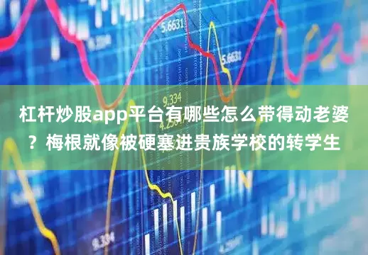 杠杆炒股app平台有哪些怎么带得动老婆？梅根就像被硬塞进贵族学校的转学生